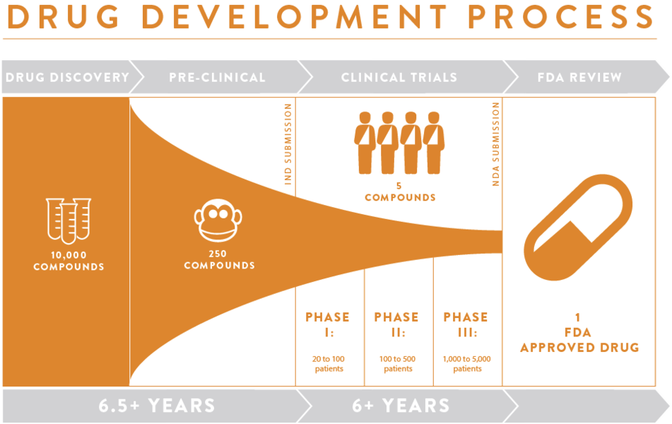 Drug Development Process