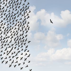 Going 'maverick' isn't always the best option when it comes to selling your business.
